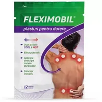 Plasturi cu hidrogel pentru durere Fleximobil, 12 plasturi, Fiterman
