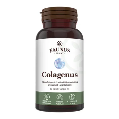 Colagen tip II pentru articulatii oase piele par Colagenus, 60 capsule, Faunus Plant