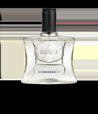 Apa de toaleta Ocean, 100ml, Brut