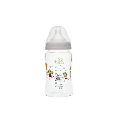 Biberon din sticla borosilicat cu gat larg 3 luni+ Baby, 300ml, Minut