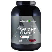 Weight Gainer cu aroma de capsuni, 1500g, Adams Vision