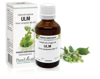 Extract muguri de ulm x 50 ml (PLX)