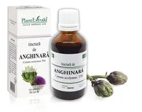 Tinctura Anghinara x 50ml (PLX)