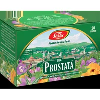 Ceai Prostata, 20 plicuri, Fares