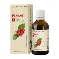 TINCTURA PADUCEL 50ML