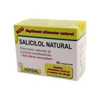 Salicilol Natural, 60 comprimate, Hofigal