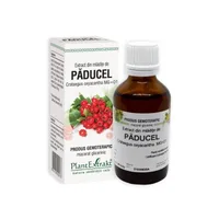 Extract din mladite de Paducel, 50 ml, Plant Extrakt