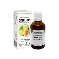 Extract din muguri de Smochin, 50 ml, Plant Extrakt