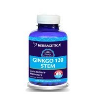 Ginkgo 120+ Stem, 60 capsule, Herbagetica