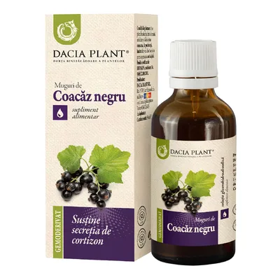 Muguri de Coacaz Negru, 50 ml, Dacia Plant