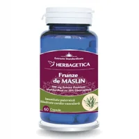 Frunze de maslin, Herbagetica | 60 capsule