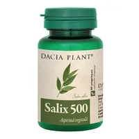 Salix, 60 comprimate, Dacia Plant