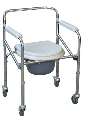 Scaun WC cu roti
